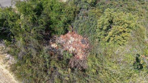 DJI_20260706153126_0019_D.JPG